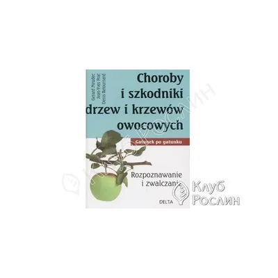 Таинственные симптомы: характерные признаки болезней деревьев