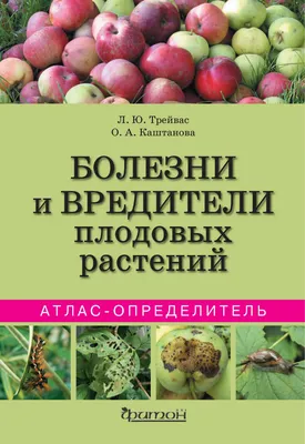 Болезни и вредители плодовых деревьев: фотография гниющих плодов