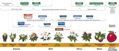 Красочные изображения болезней и вредителей плодовых деревьев