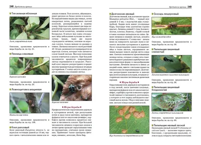 Фото болезней и вредителей плодовых деревьев: обои и фоны для вашего устройства.