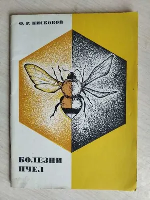 Болезни пчел фотографии