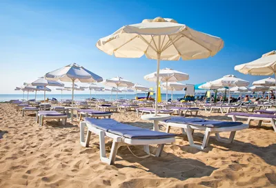 Фото пляжа Болгарии солнечный берег - WebP формат