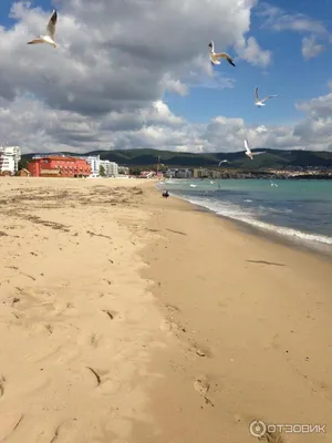 Фото пляжа Болгарии солнечный берег - скачать в HD качестве