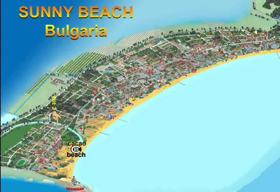 Приглашаем вас на виртуальную прогулку по пляжам Солнечного берега