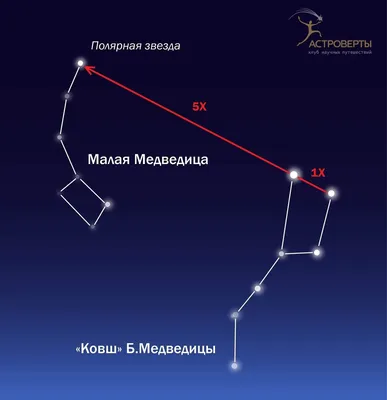 Выбор размера: Зимние взгляды на Большую медведицу