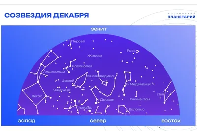 Фотоарктика: Зимняя Большая медведица в разном свете