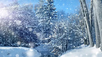 Фото зимнего великолепия: Выбирайте размер и формат для скачивания