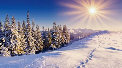 Большие фотографии зимней природы: Выбирайте формат для скачивания