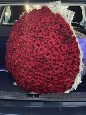 Фотография большого букета роз с эффектом размытия