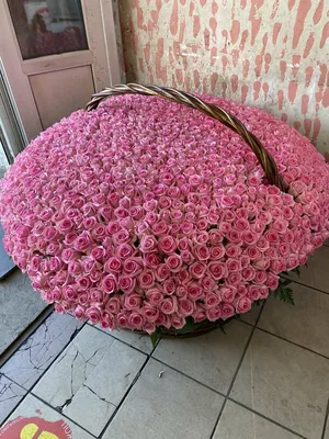 Фотография большого букета роз с эффектом разноцветных теней