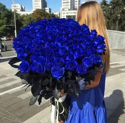 Фотография большого букета синих роз