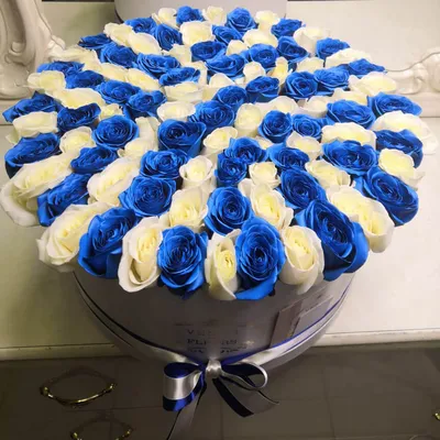 Фото большого букета синих роз в формате png