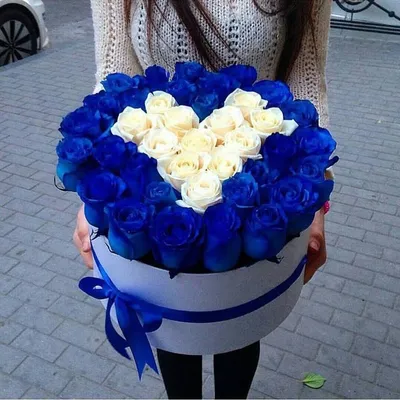 Фотография: большой букет синих роз