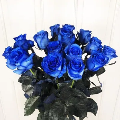 Фотография большого букета синих роз в формате jpg