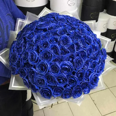 Картинка большого букета синих роз