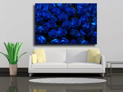 Фото большого букета синих роз в формате webp