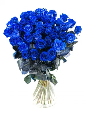 Фото: большой букет синих роз в формате webp