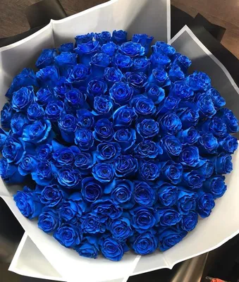 Большой букет синих роз - изображение