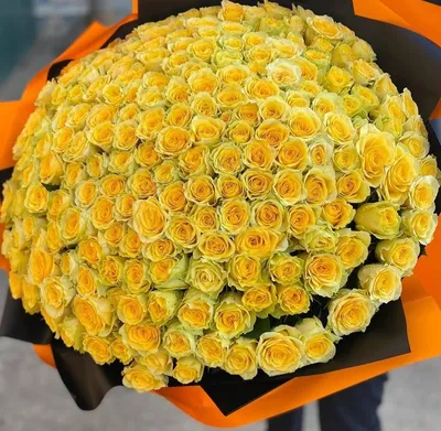 Большой букет желтых роз в высоком разрешении, формат jpg