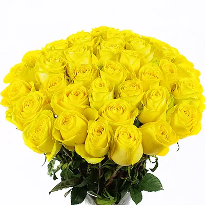 Большой букет желтых роз для скачивания