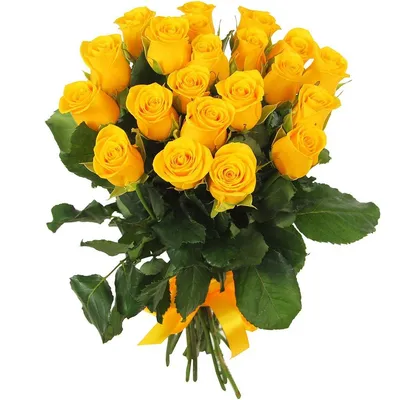 Желтые розы на прекрасной фотографии