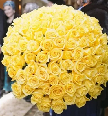 Желтые розы на картинке: выберите размер и формат