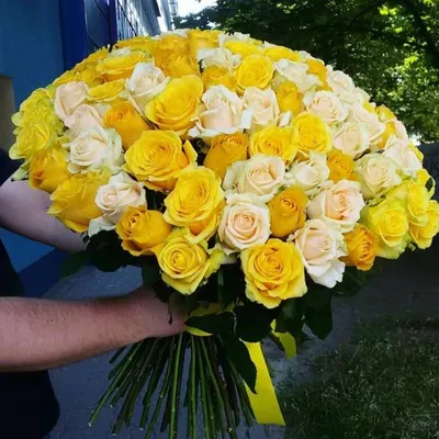 Фотка красивого букета желтых роз