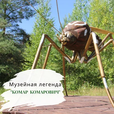 Фото большого комара в формате 4K в хорошем качестве