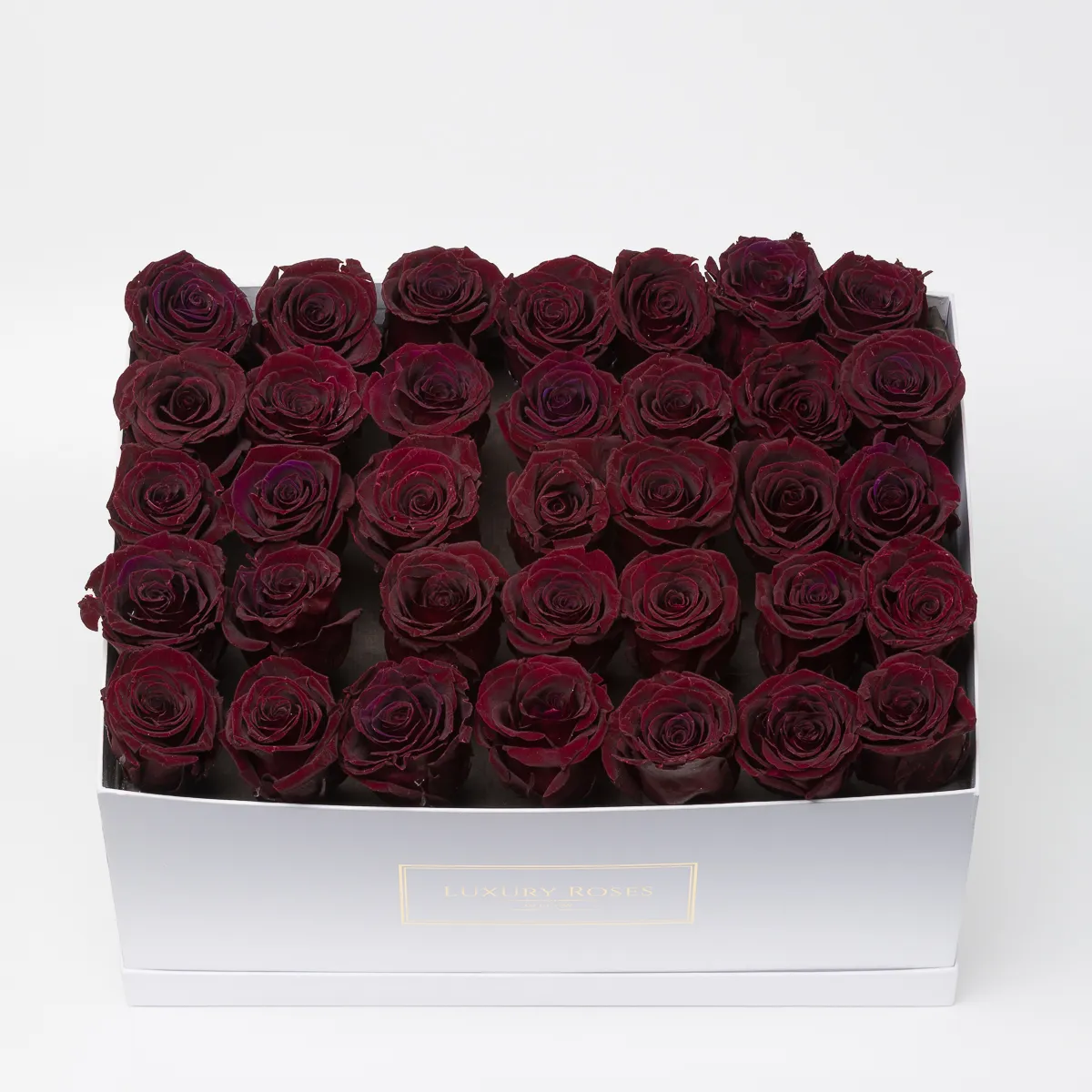Бордовые розы купить. Мыльные розы бордовые. Бордовые розы в коробке. Коробки с бордовыми розами. Бордовые розы в белой коробке.