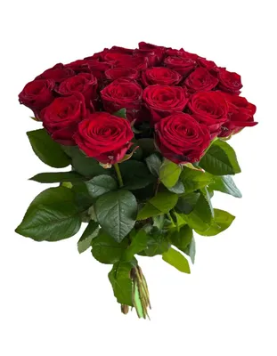 Картинка с бордовыми розами - фотография