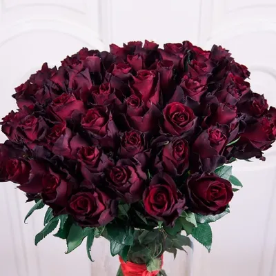 Изображение бордовых роз в формате jpg - выбери размер