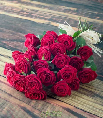 Розы бордового цвета - красивое фото