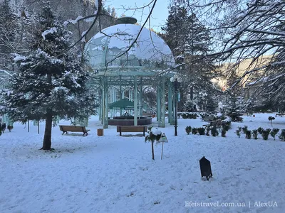 Зимний аромат Боржоми: фотоотчет