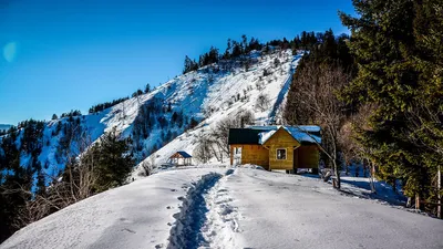 Боржоми в снежном обрамлении: фотопутеводитель