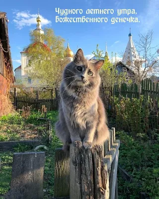 Великолепие утреннего неба на фотографиях