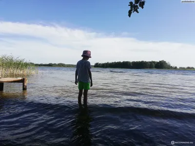 Загадочные озера Браславского района на фотографиях 