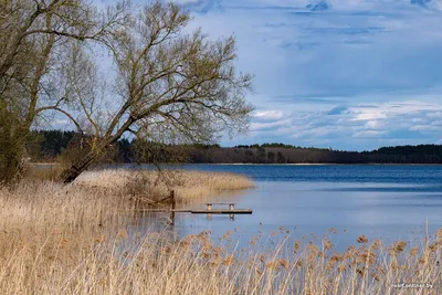 Приключения на водных просторах Браславских озер: уникальный опыт для любителей активного отдыха.