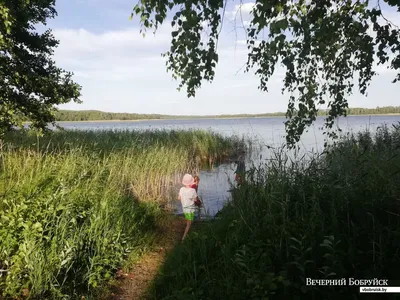 Красота и спокойствие: уютные берега Браславских озер ждут вас.