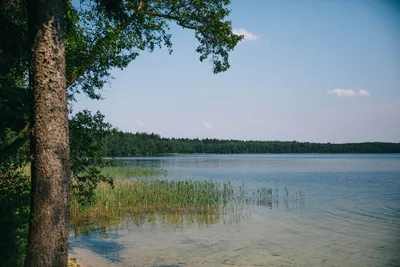 Оазис спокойствия: отдых на Браславских озерах поможет вам расслабиться и ощутить гармонию с природой.