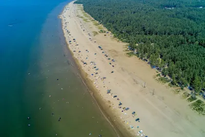 Братское море золотые пески: сверкающее посвящение лету