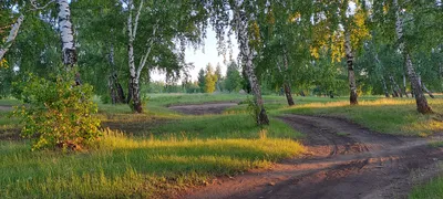 Яркость летнего отдыха: Братское море золотые пески на фотографиях