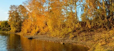 Фото Братского моря: наслаждение золотыми песками