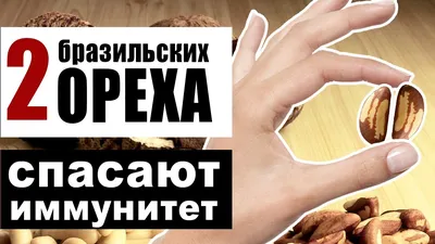 Скачать бесплатно фото Бразильского ореха дерева