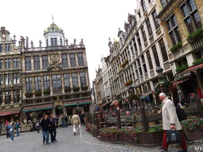 Изображение Брюсселя зимой: Величественные снежные пейзажи