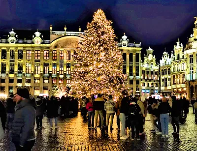 Зимний Брюссель: Красочные фасады исторических зданий