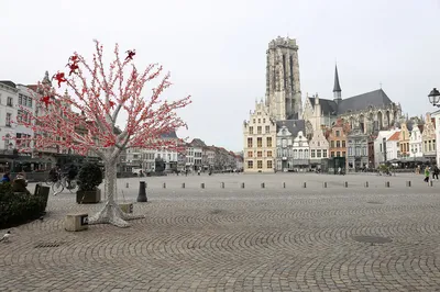 Фотография Брюсселя зимой: Романтическая атмосфера города