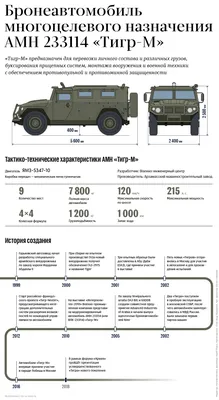  35. Фотография Тигра, которая непременно вызовет восхищение