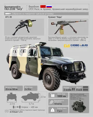  37. Изображение Тигра, которое запомнится надолго