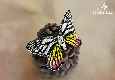 Фотка - Качественная фотография броши из бисера в стиле бабочки