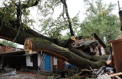 Фото: красивые деревянные будинки